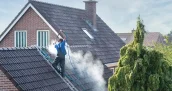 Limpieza de musgo en tejados en Badajoz 06001 y mantenimiento de canalones